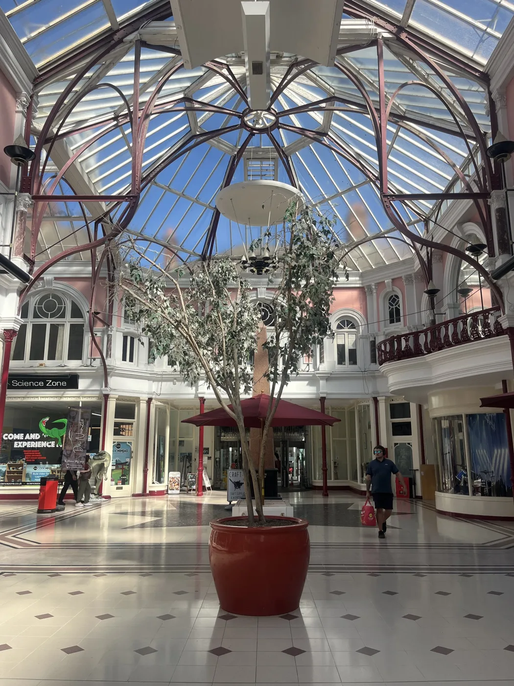 The domed glass roof and central planted tree in the Royal Arcade, Boscombe, with shopfronts on two levels