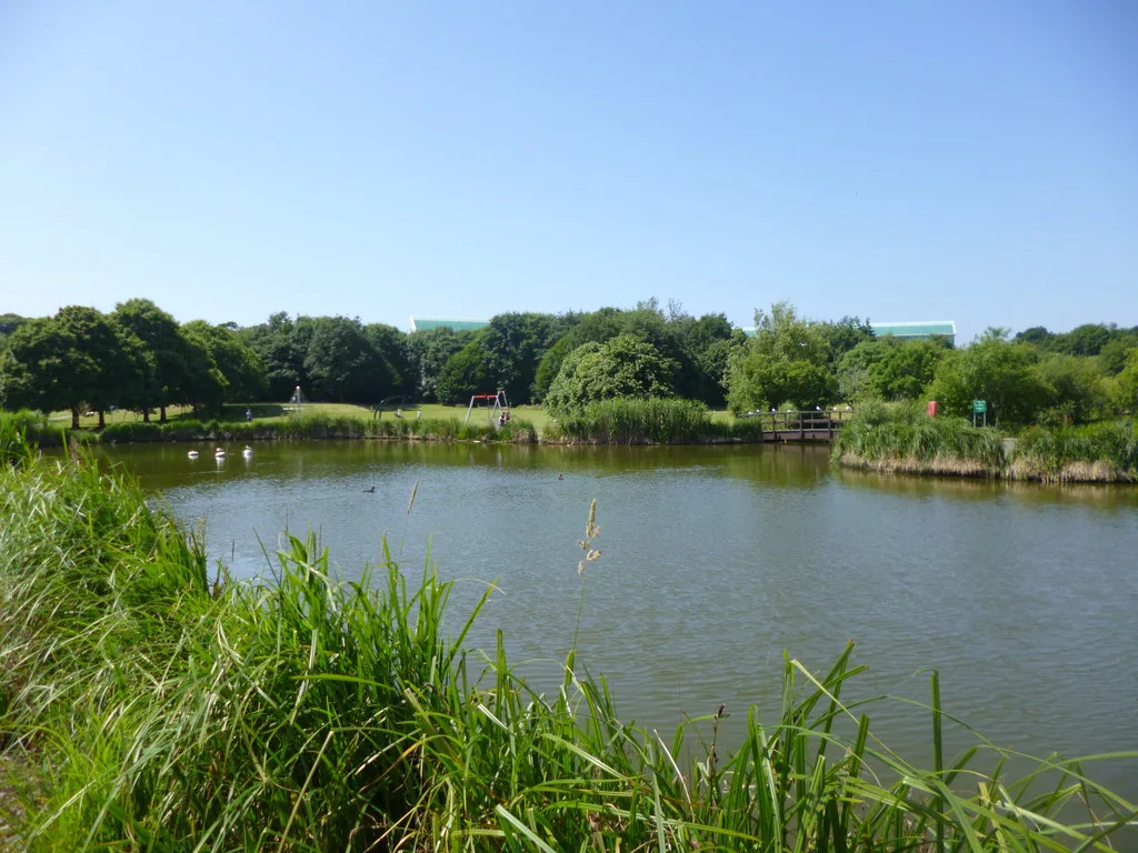 Littledown Park, with the green roof of the Littledown Centre showing above the trees. The displays are fired over the playing fields, and the play area across the water is where the organiser directs wheelchair users