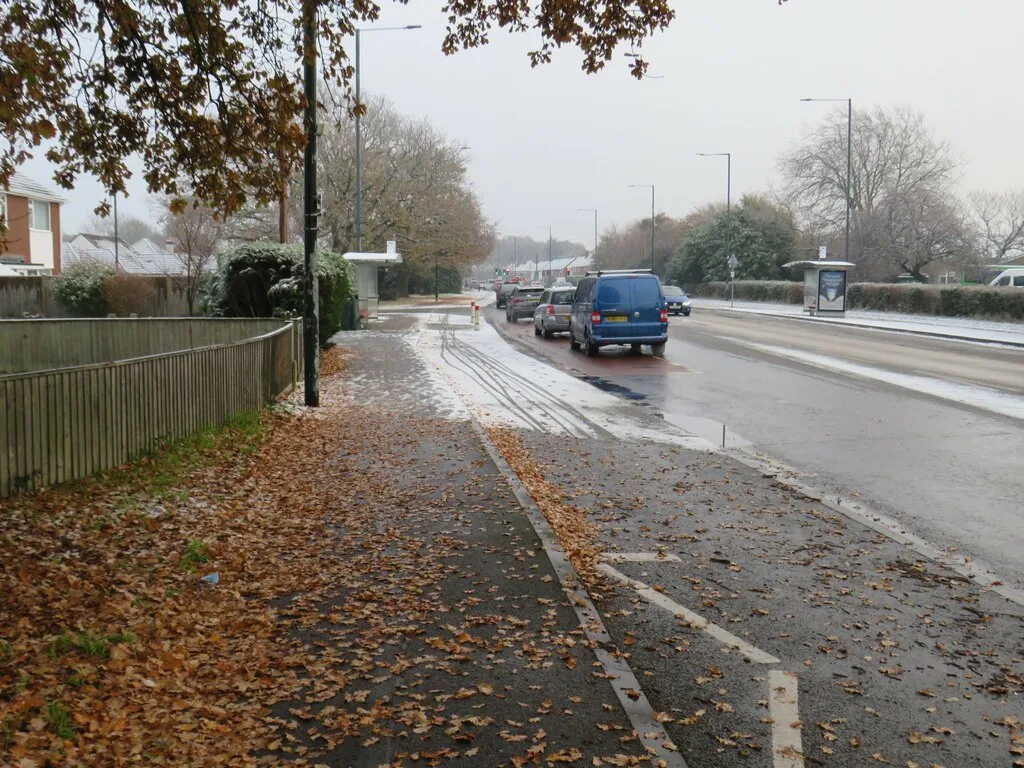 Fallen leaves on the pavement in Charminster, Bournemouth